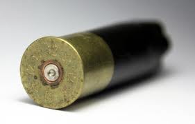 Twelve-year-old boy, Stepfather Found Dead in Cass County Home