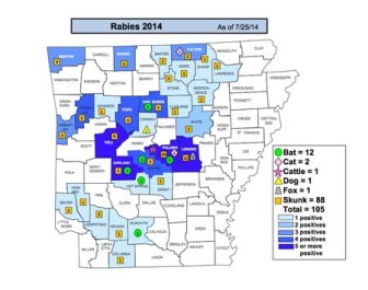 rabies