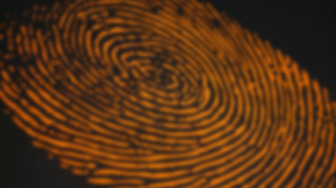 ingerprint