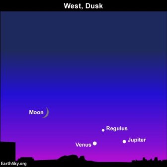 11753647_977780432243802_2143305514575260047_n (1)