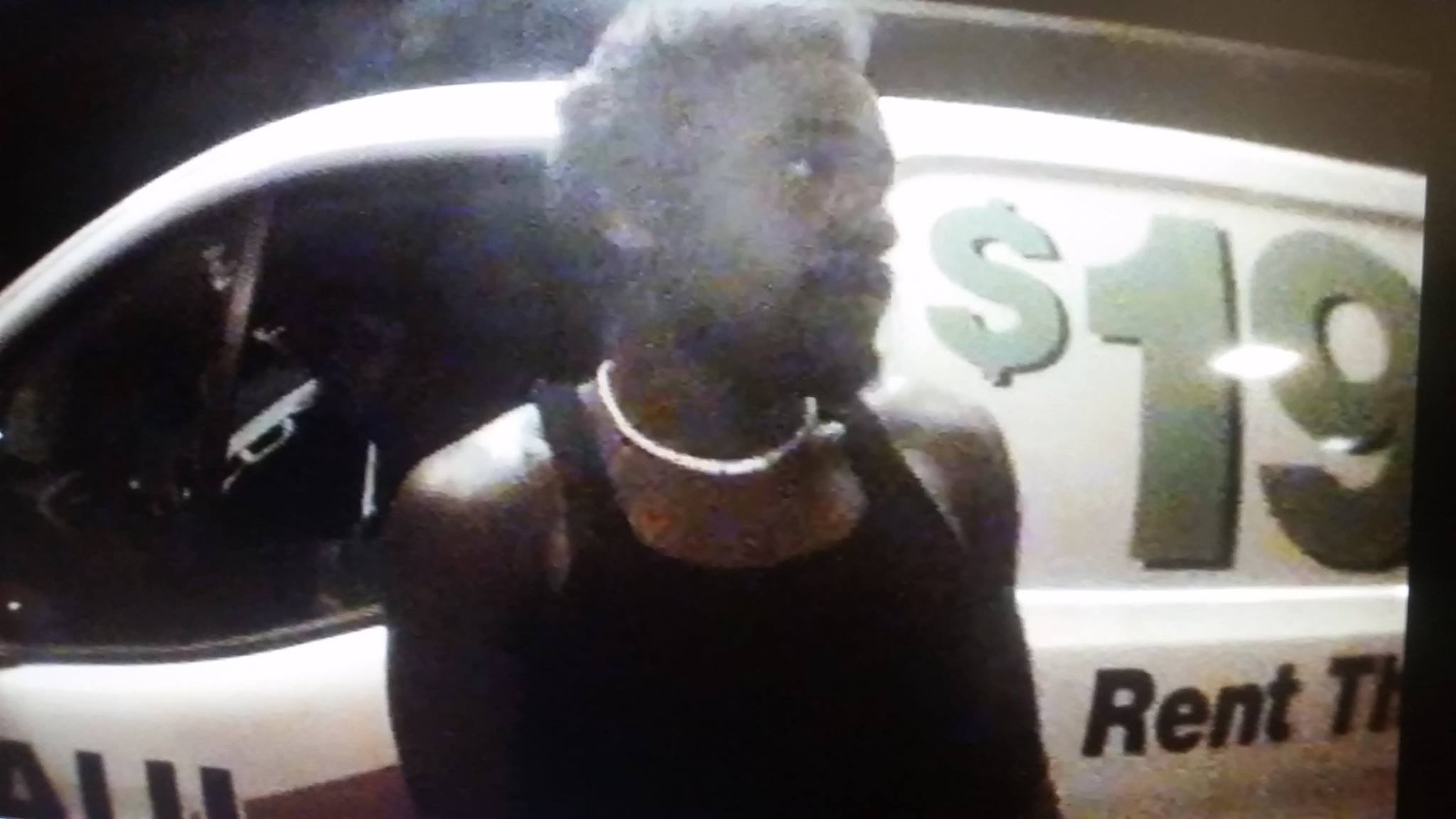 11951566_701191136691778_771534464722647926_o (1)