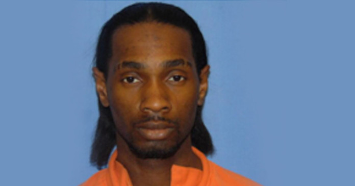 Patrick-David-Fowler