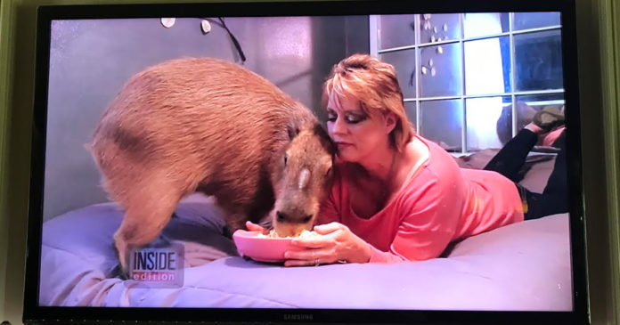 inside-edition