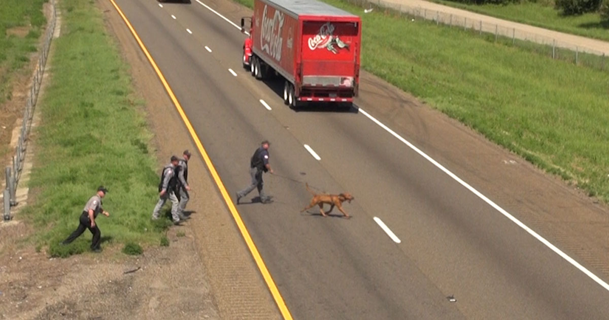 Authorities Searching For Man Who Fled From Stolen Vehicle During