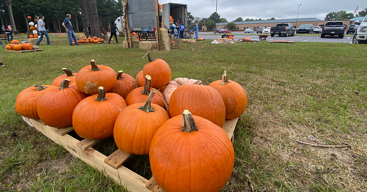 Halloween Happenings Texarkana Today