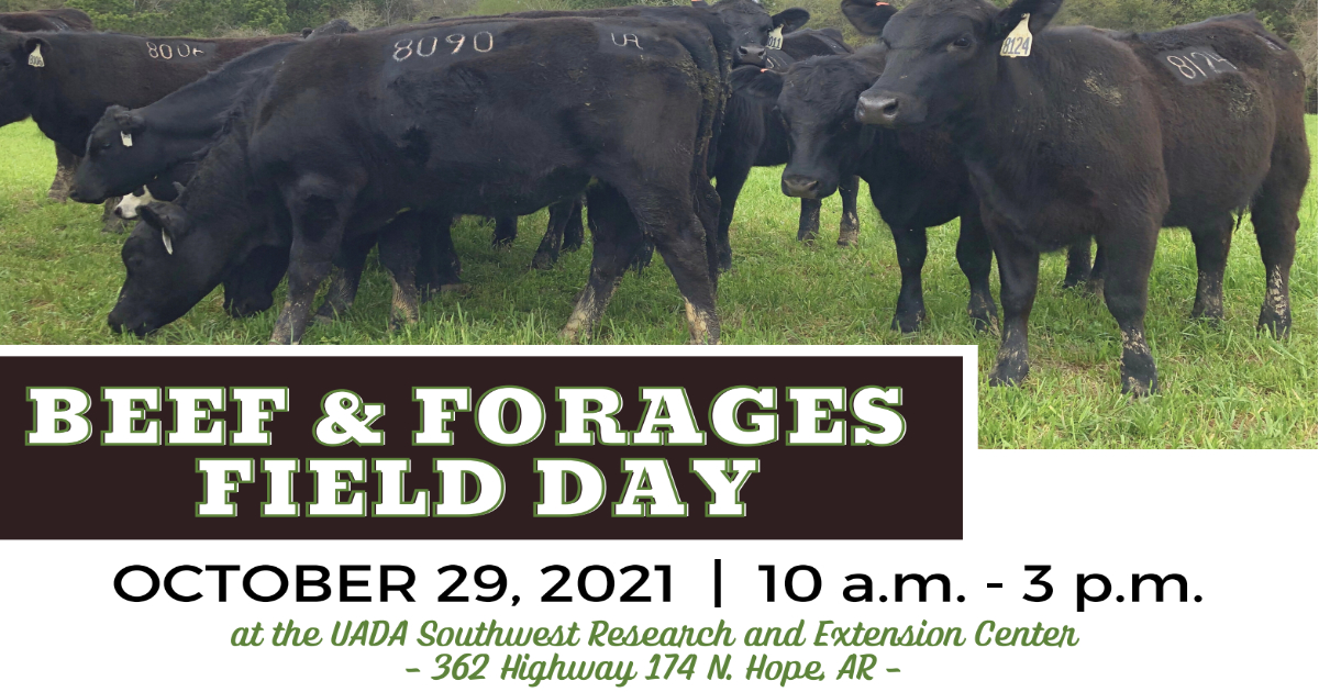 Beef and Forages Field Day at the Southwest Research and Extension ...