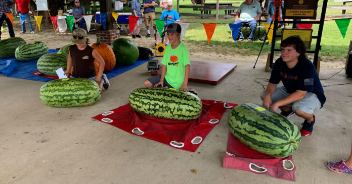 watermelon weighoff
