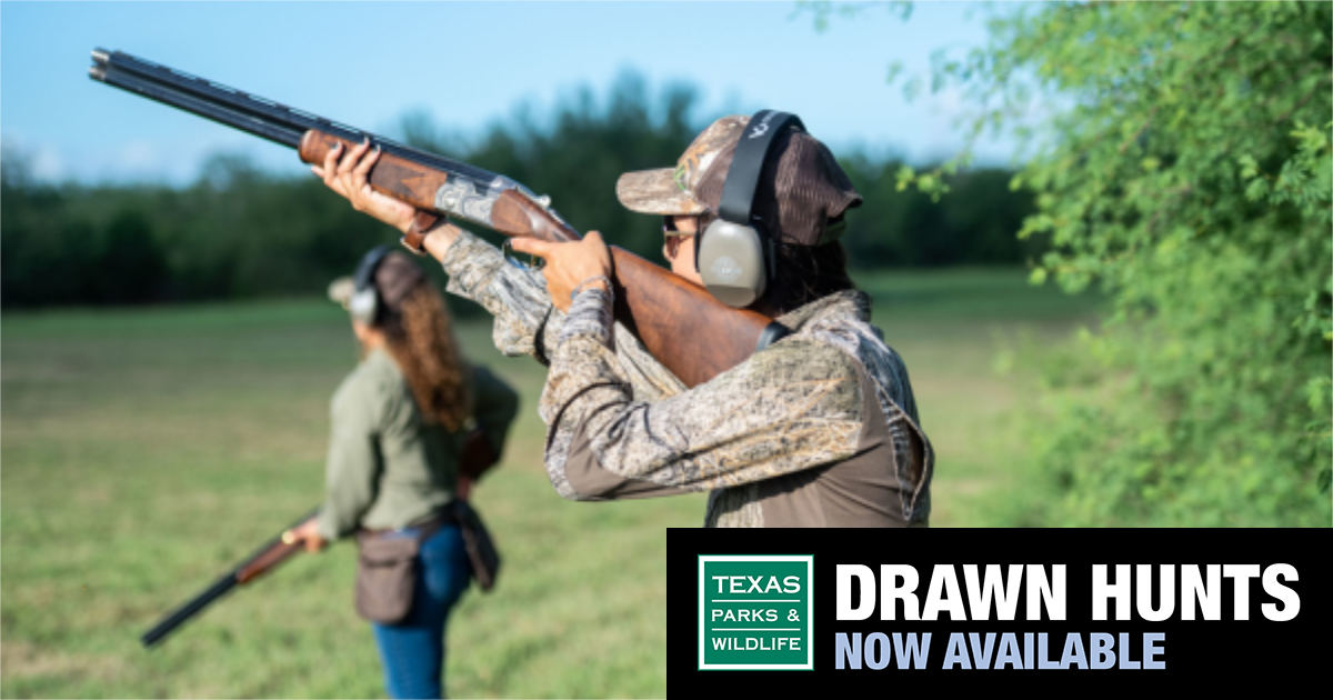 Apply Now for Drawn Hunts in Texas | Texarkana Today