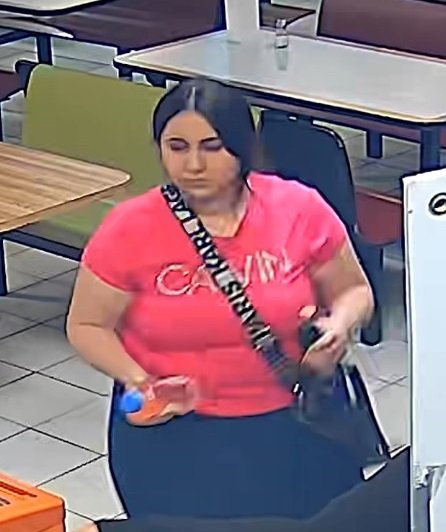 Surveillance image of theft suspect