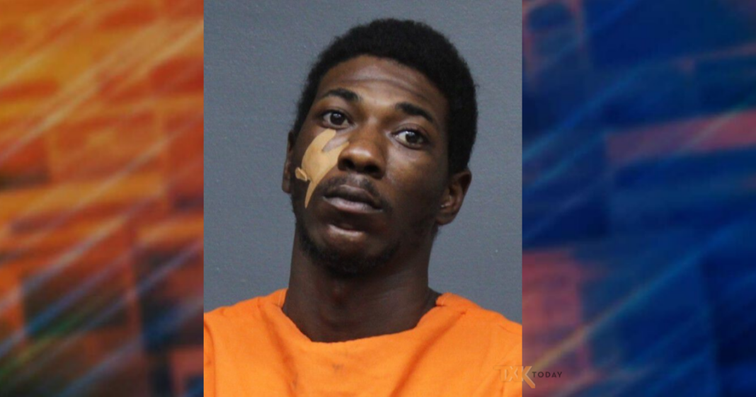 Grand Jury Indicts Man Accused Of Stomping Puppy On Christmas ...