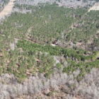 Bowie County land rich with resources from timber to lithium below the surface. (photo by Field Walsh | TXK TODAY)